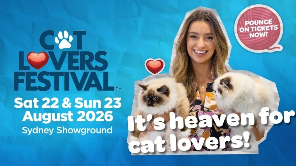 Cat Lovers Festival