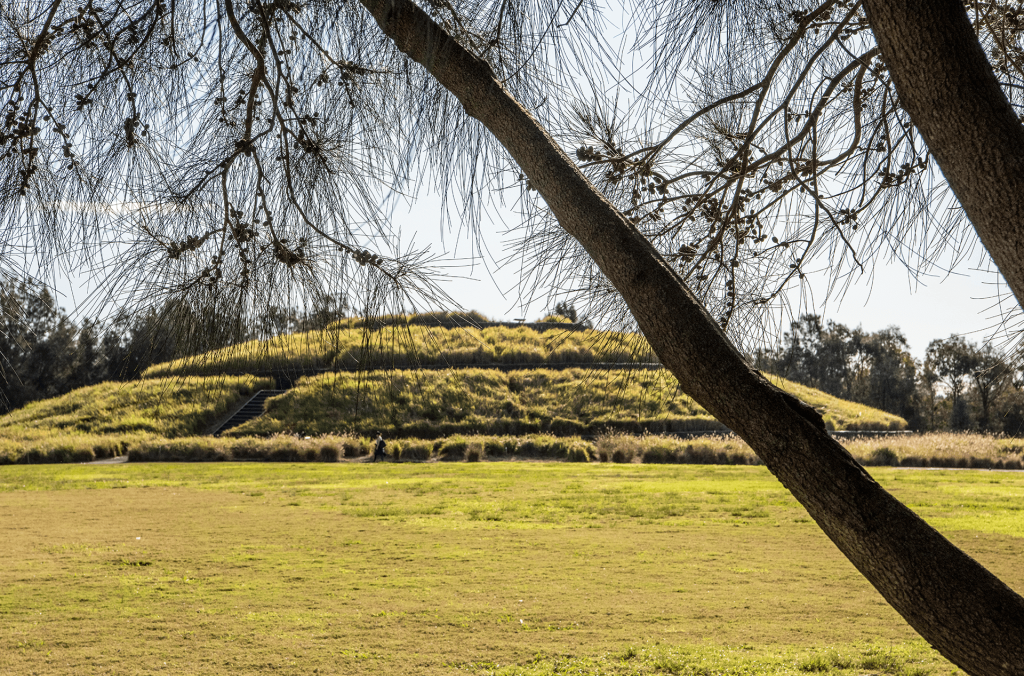 Wentworth Common Bay Marker mound and open grassed space